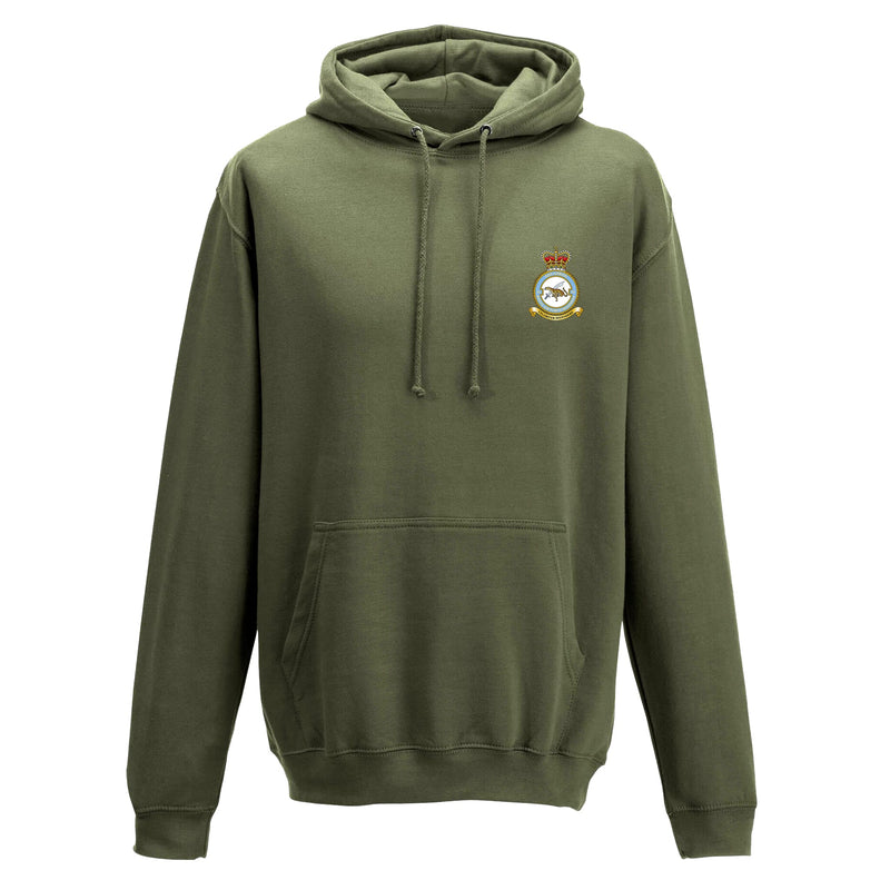 No. 51 Squadron RAF Regiment (Big Cat) Hoodie