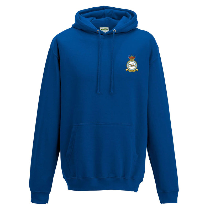 No. 51 Squadron RAF Regiment (Big Cat) Hoodie