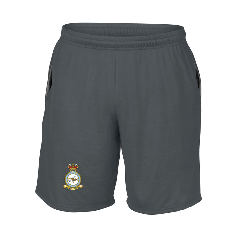No. 51 Squadron RAF Regiment (Big Cat) Performance Shorts