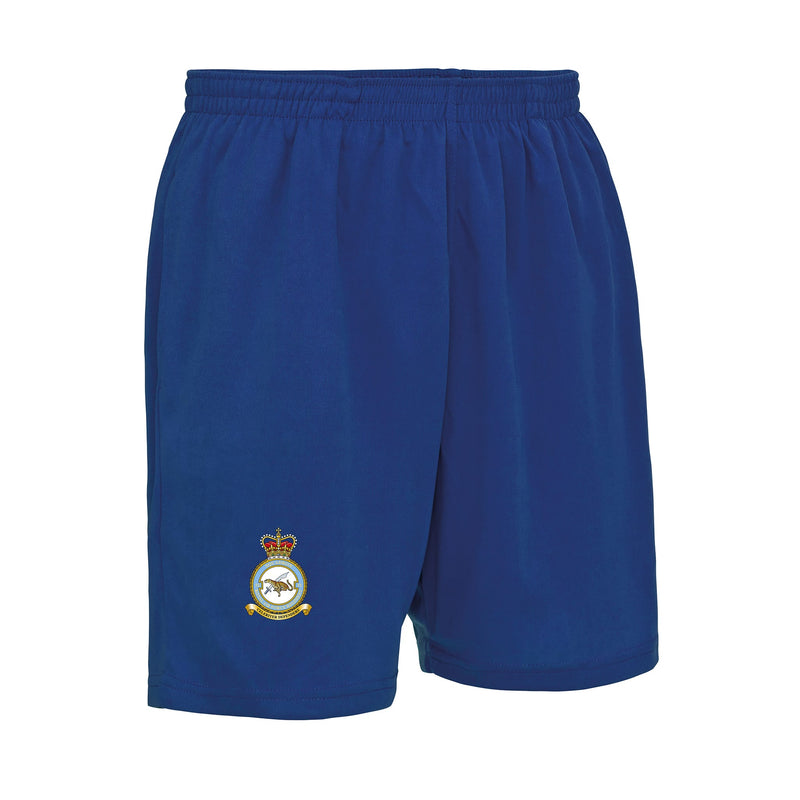 No. 51 Squadron RAF Regiment (Big Cat) Performance Shorts