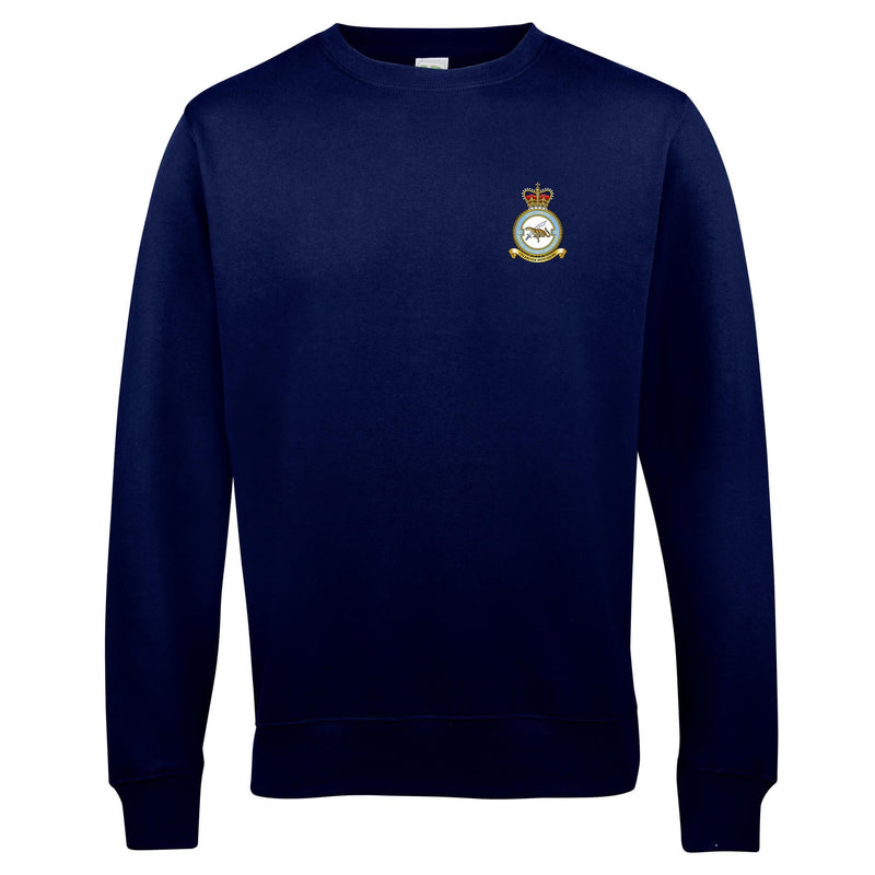 No. 51 Squadron RAF Regiment (Big Cat) Sweatshirt