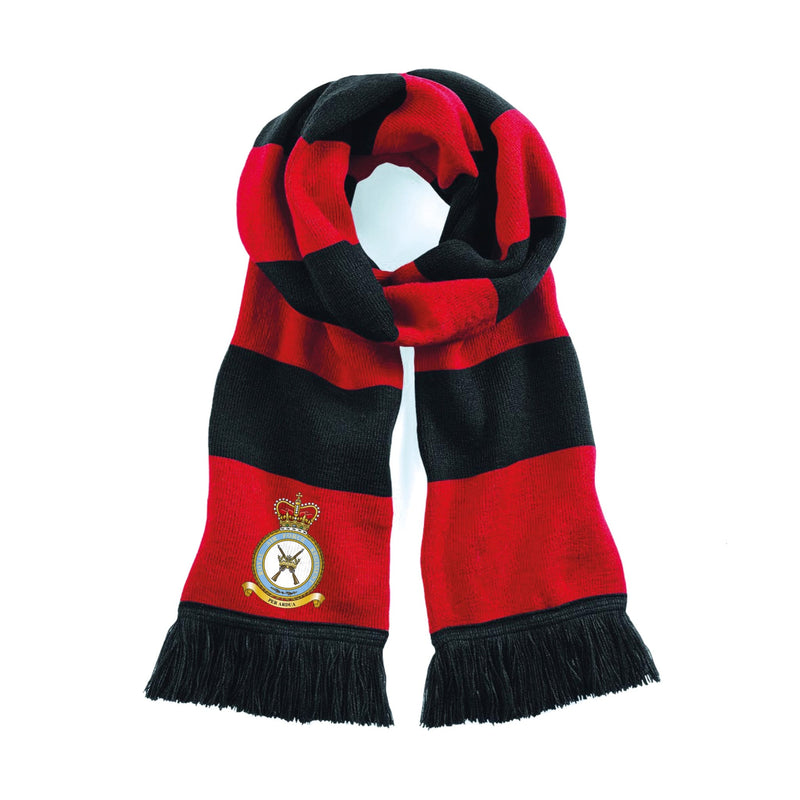 RAF Regiment Stadium Scarf