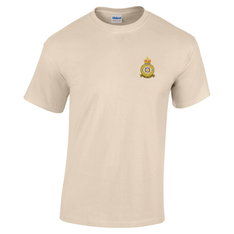 RAF Strike Command Cotton T-Shirt