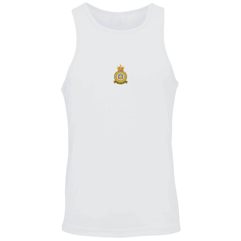 RAF Strike Command Vest