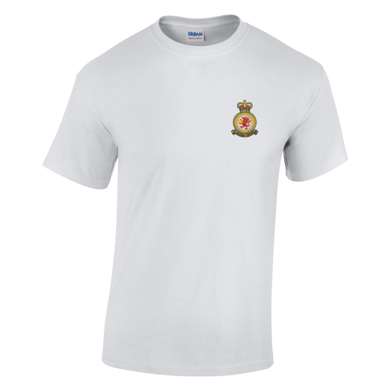 RAF Valley Cotton T-Shirt