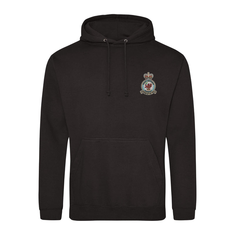 Royal Air Force Germany Hoodie