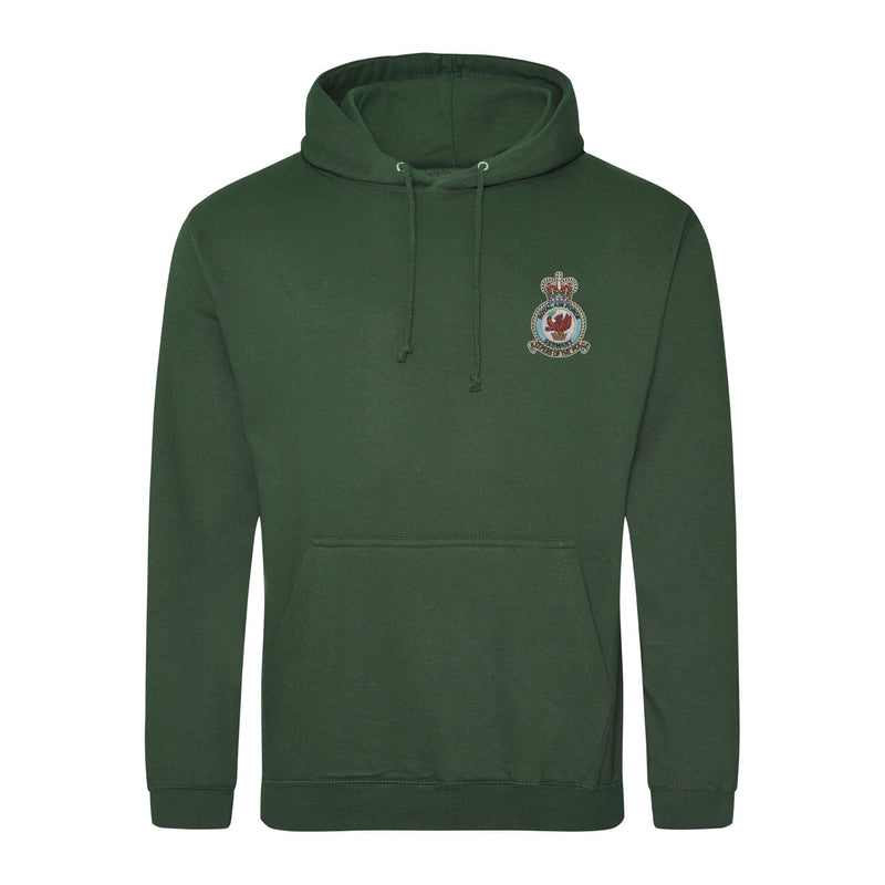 Royal Air Force Germany Hoodie