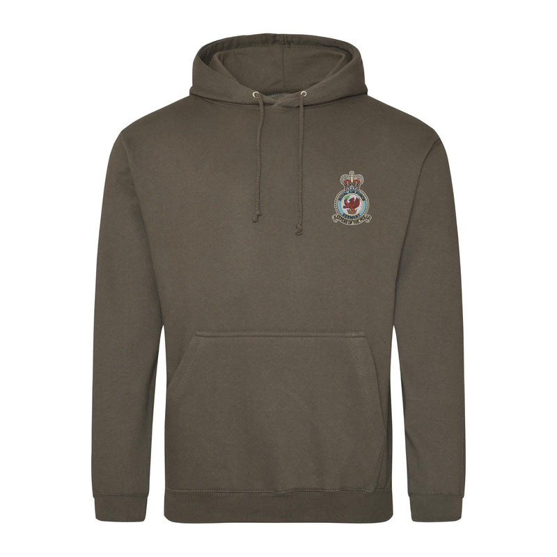 Royal Air Force Germany Hoodie
