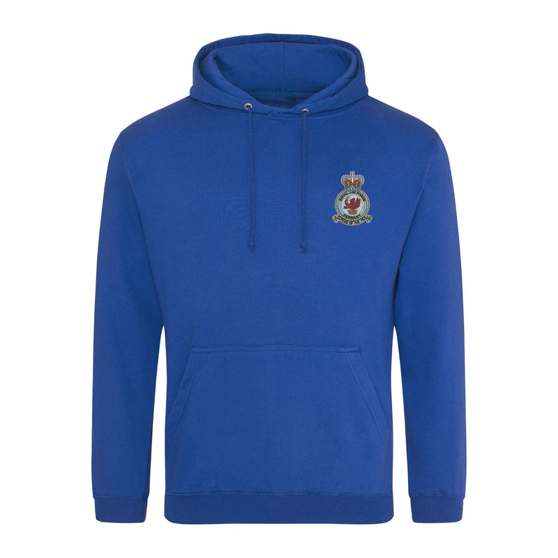 Royal Air Force Germany Hoodie