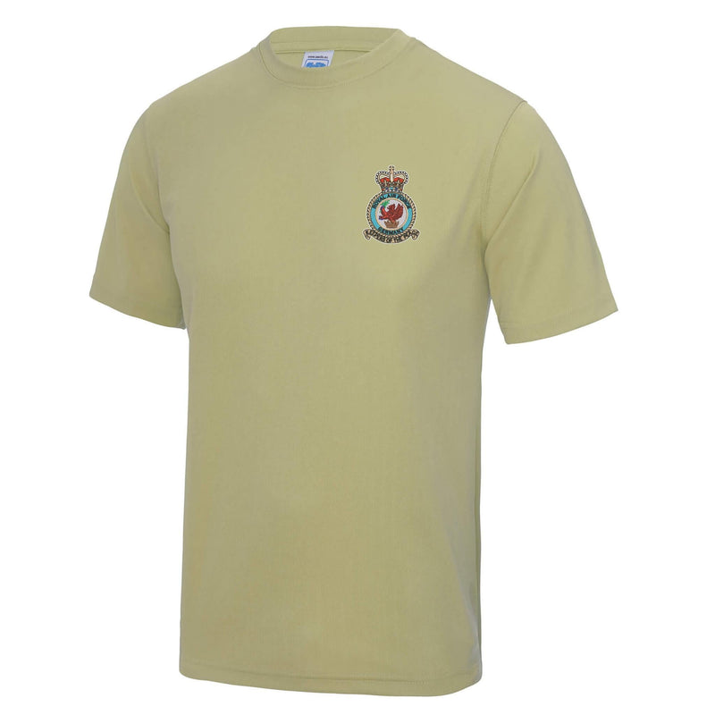 Royal Air Force Germany Polyester T-Shirt
