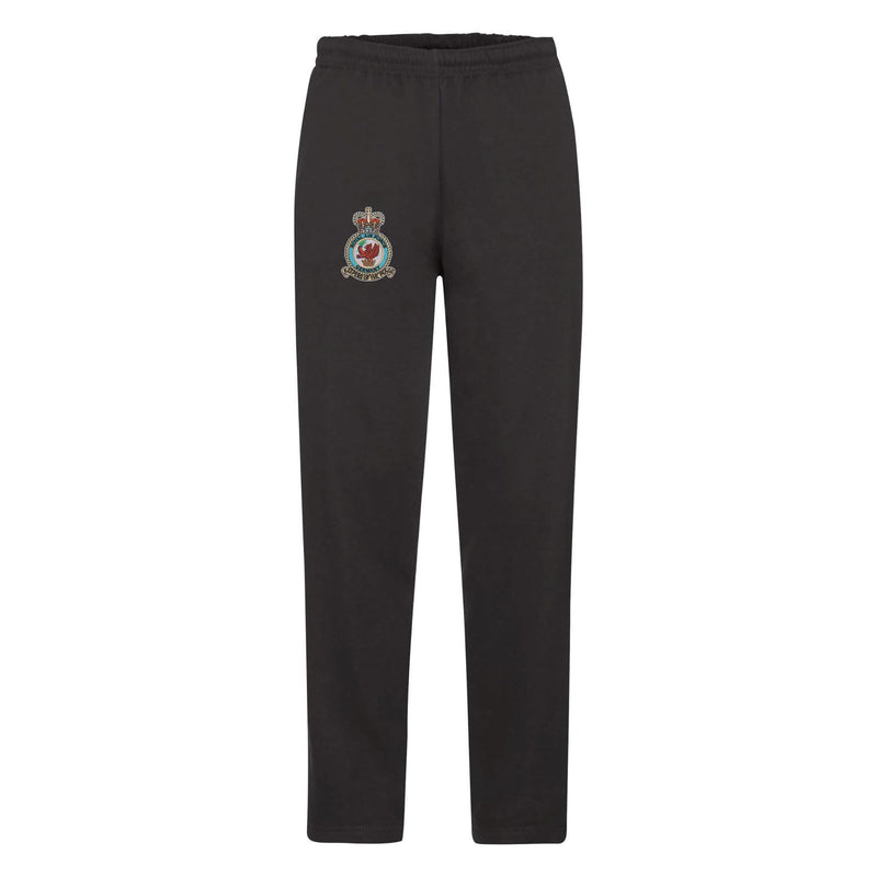 Royal Air Force Germany Sweatpants