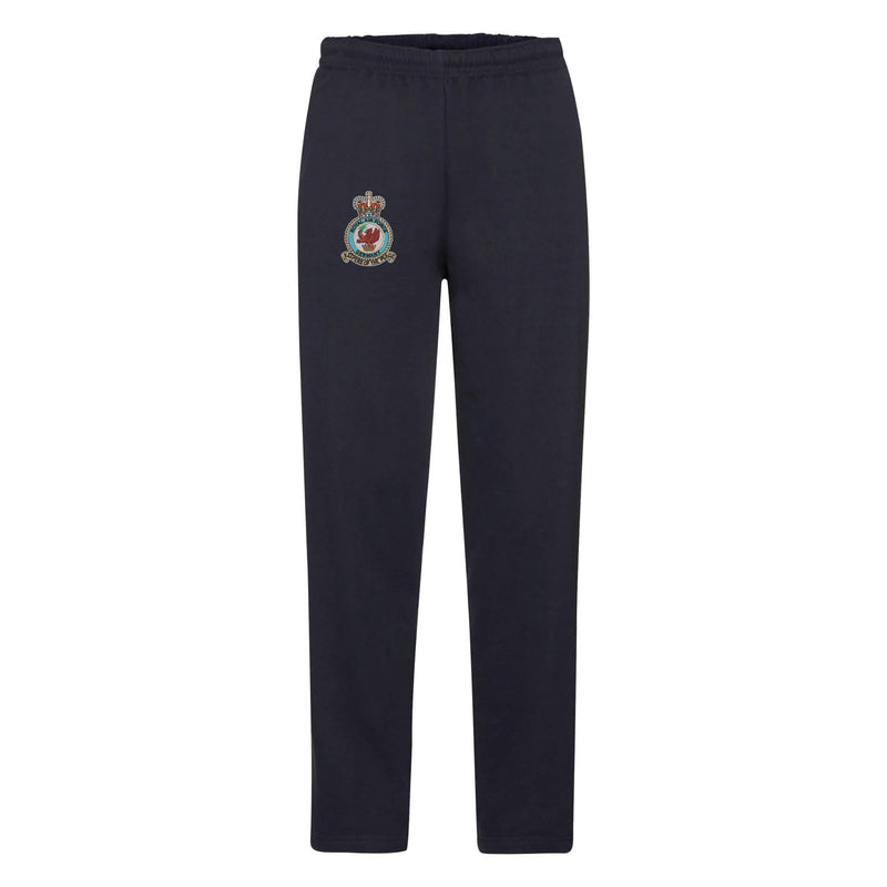 Royal Air Force Germany Sweatpants