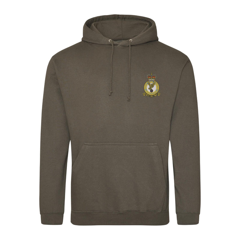 Royal Air Forces Association Hoodie