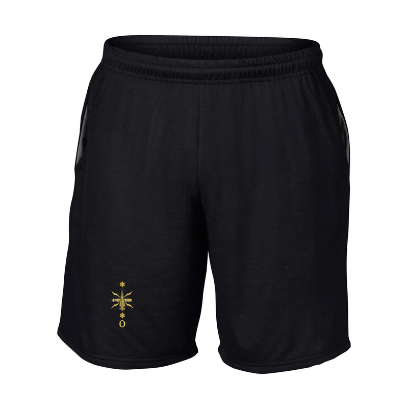 Royal Navy - Leading Weapons Engineer Performance Shorts