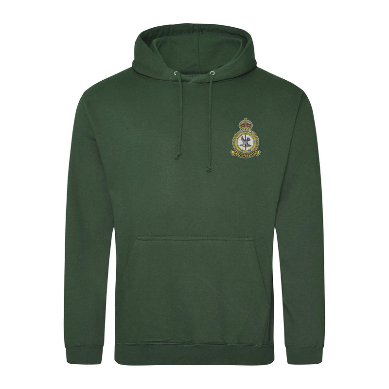 UGSAS Hoodie