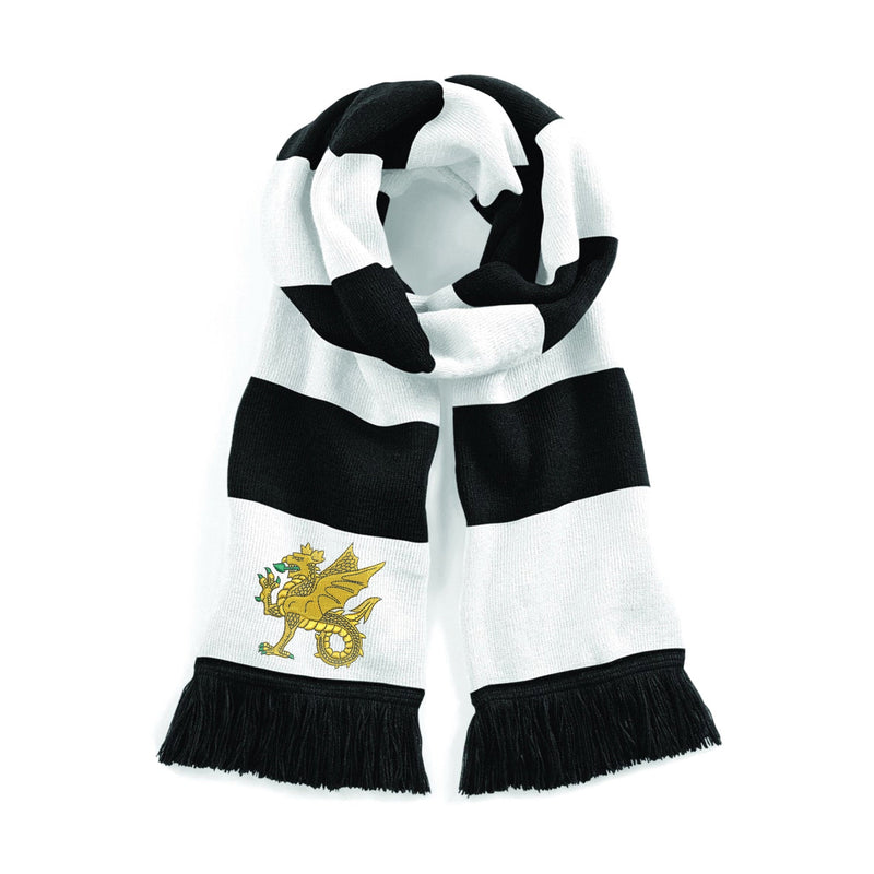 Wessex Brigade Stadium Scarf